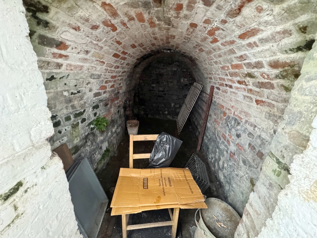 Lot: 46 - PERIOD COMMERCIAL AND RESIDENTIAL HIGH STREET INVESTMENT - Shop - vaulted outside store